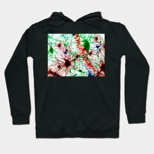 Brain cells, illustration (F013/1488) Hoodie